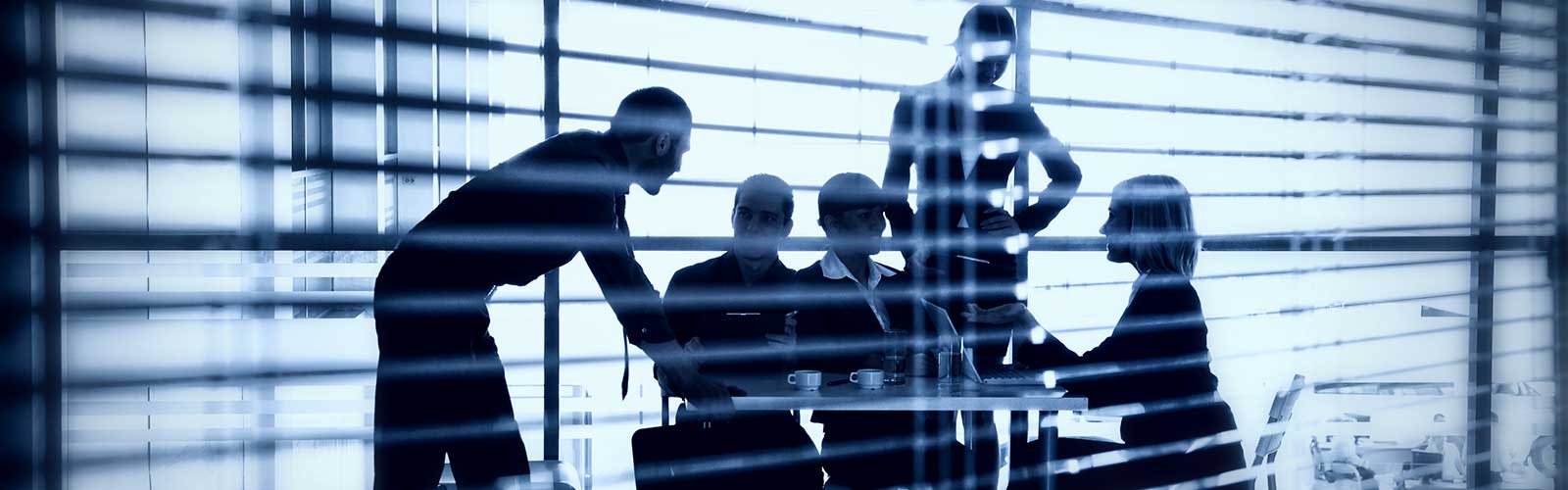 banner_ngi4020-20history1 banner_ngi4020-20history1